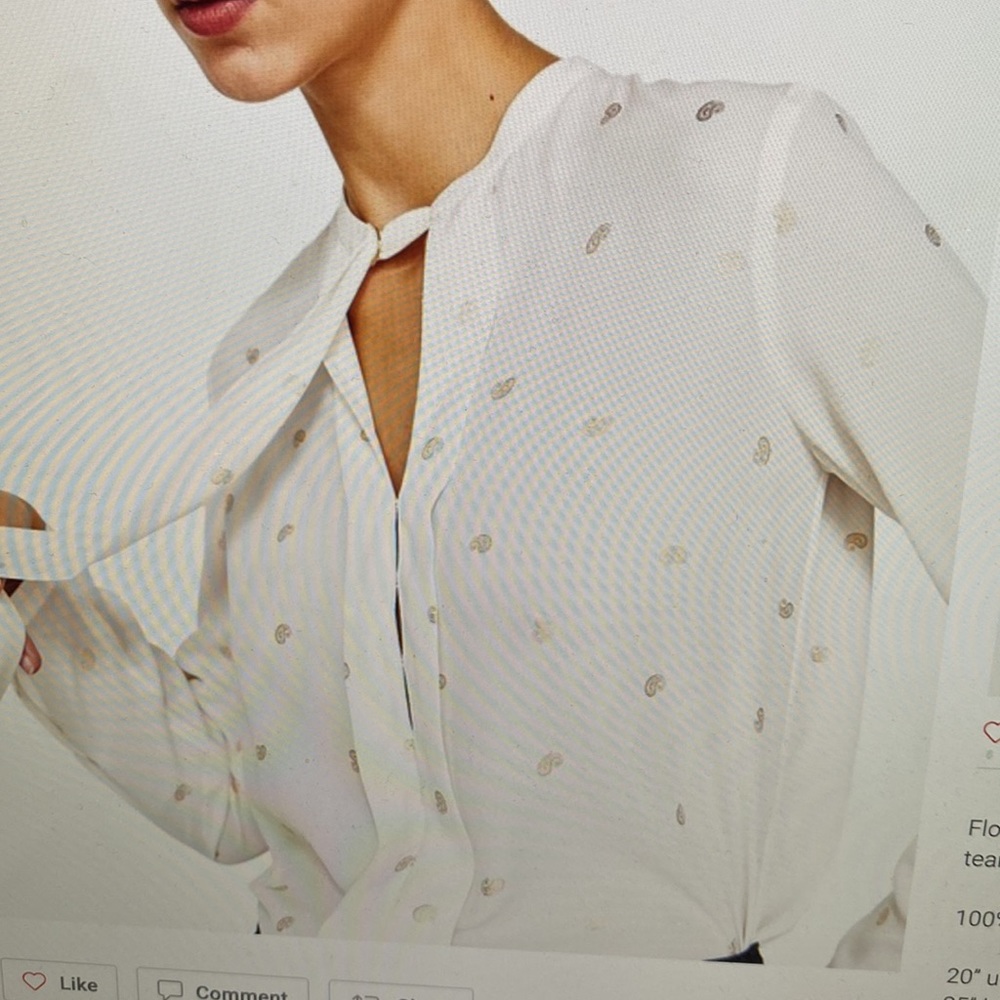 NWT Zara cream tie neck blouse with gold paisley.